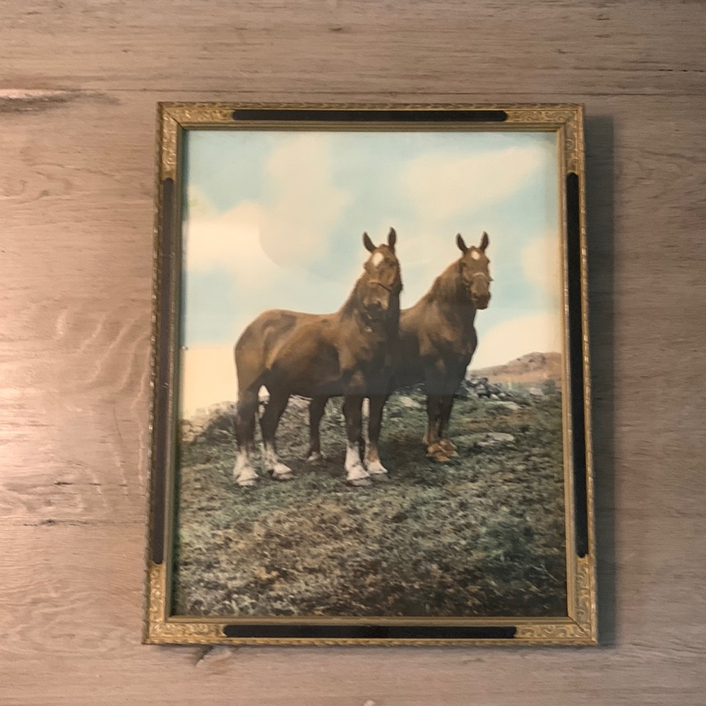 Antique Photo/Painting of 2 Draft Horses in Unique Frame - Picture 2 of 16